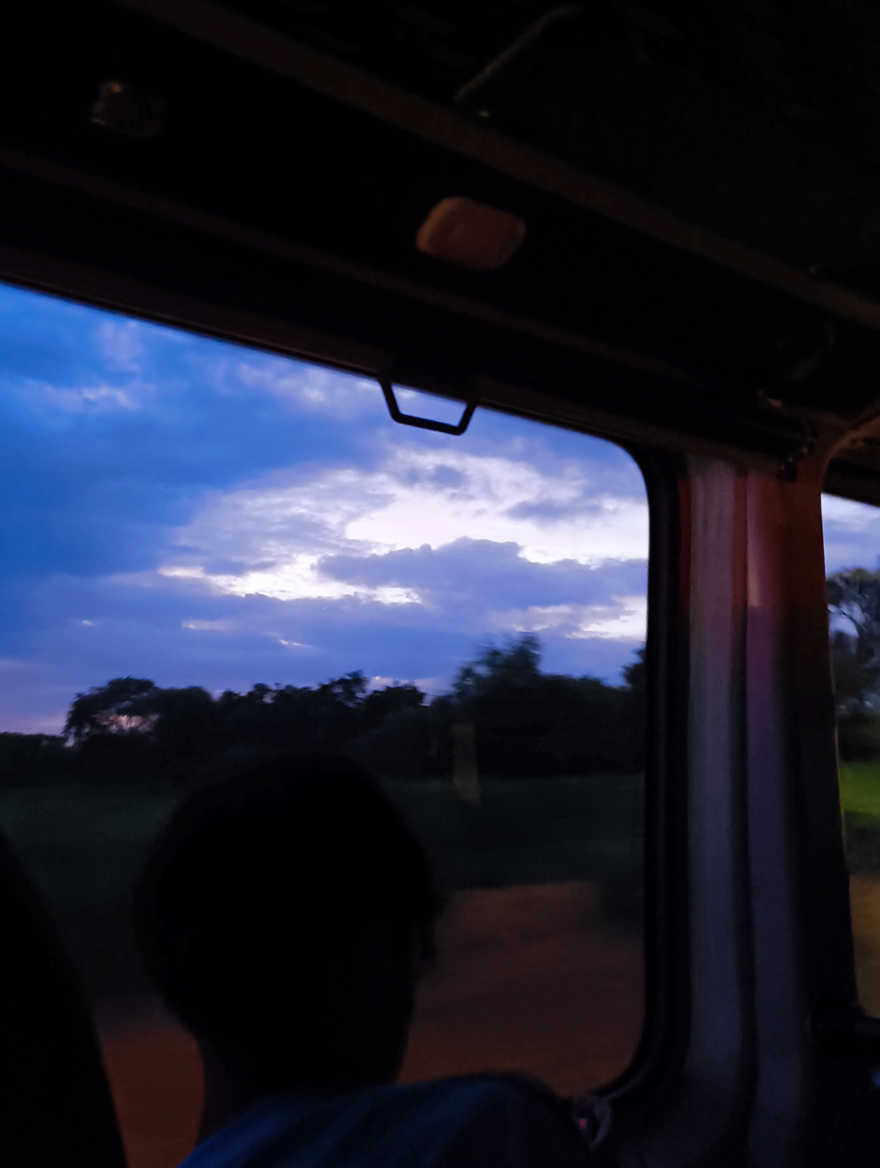 Bus Window Dusk